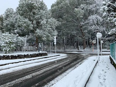 雪国ドライブ、安全運転で！