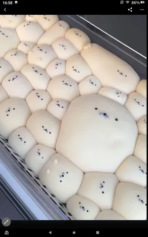 ぷっくり可愛い！癒やし系パンの集団