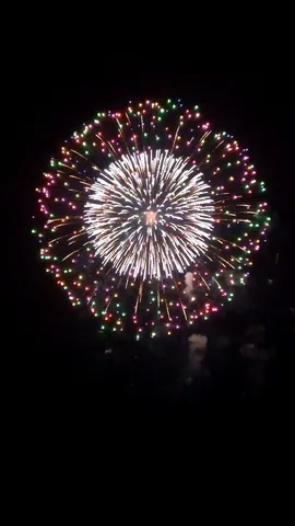 夜空に咲いた大輪の花