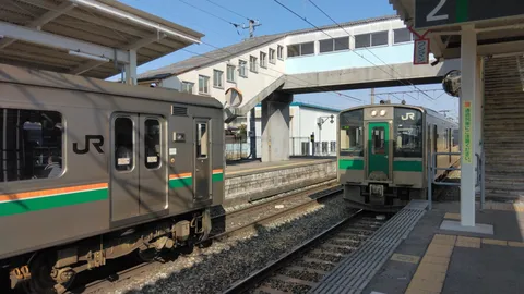 駅に並ぶ二つの列車、旅の始まり？