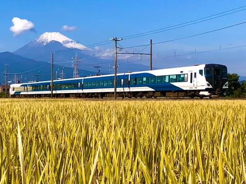 富士と黄金の田、駆ける列車