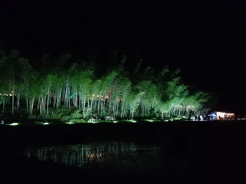 夜の竹林、水面に映る灯り