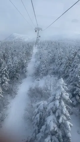 雪化粧の山頂へ誘うゴンドラ