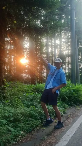 夕陽を指す影と緑の道