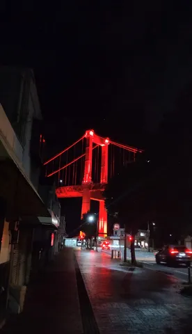 夜を染める赤い架橋の印象