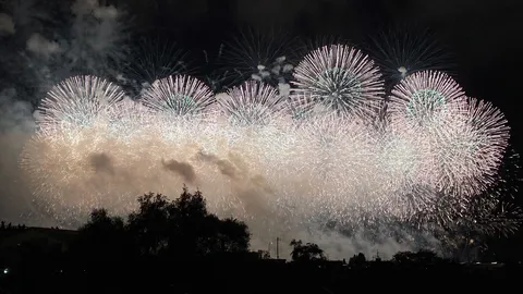 夜空を彩る光の華