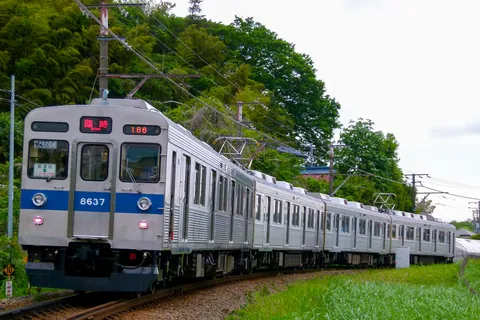 緑のカーブを曲がる臨時電車