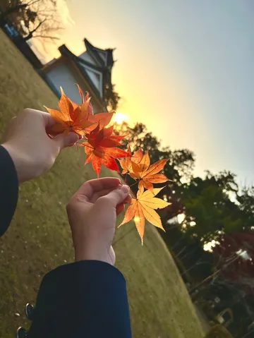 夕日に乾杯！手のひら紅葉ショー