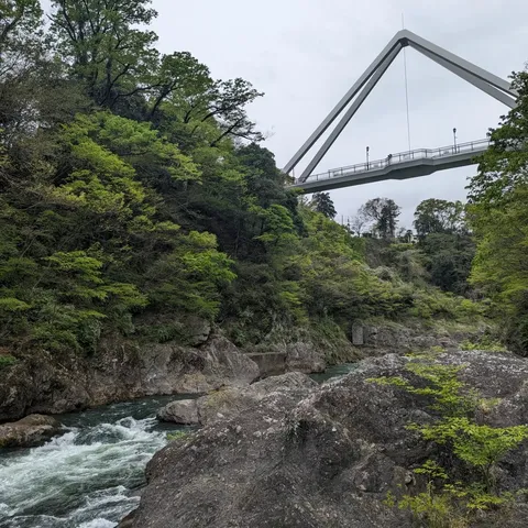 清流と森、空の架け橋