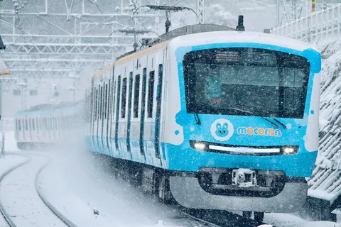 雪もこ