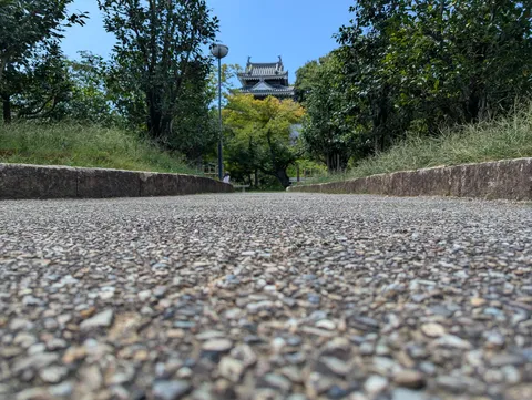路の向こうに塔が微笑む