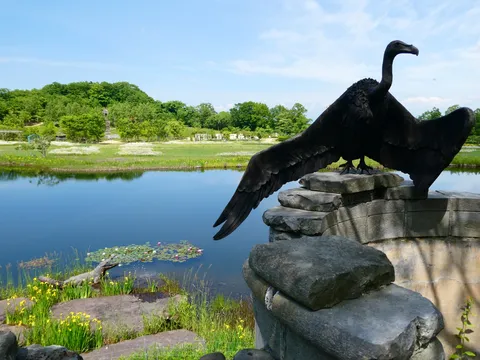 池のほとりの巨大な鳥、何かの前触れ？