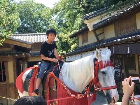 夏の路地で馬と風景