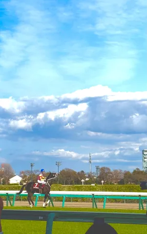 疾走する馬と広がる空