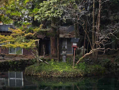 緑深き池辺の隠れ家