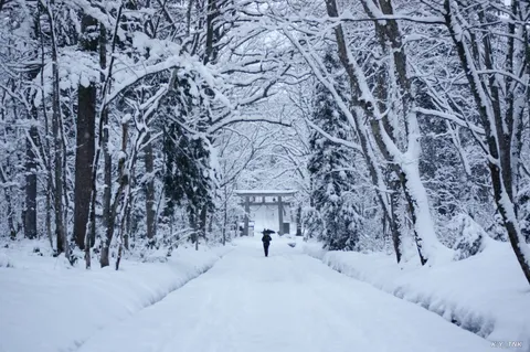 雪化粧の鳥居へ続く道