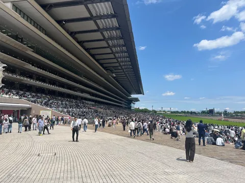 賑わいと空、広がる観客席