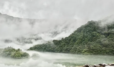 霧の奥に眠る神秘
