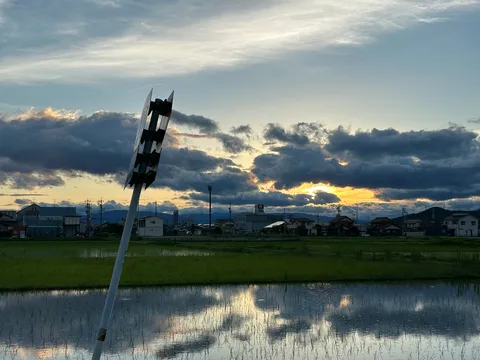 雨上がりの水鏡と夕焼け