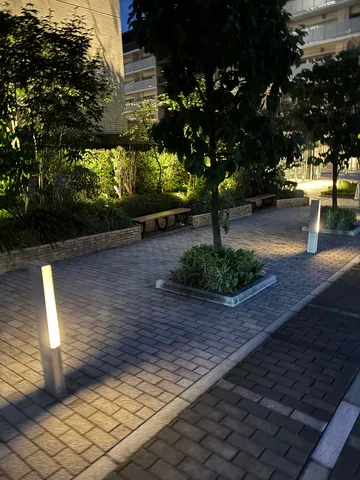 夜の静寂、街灯が照らす小道