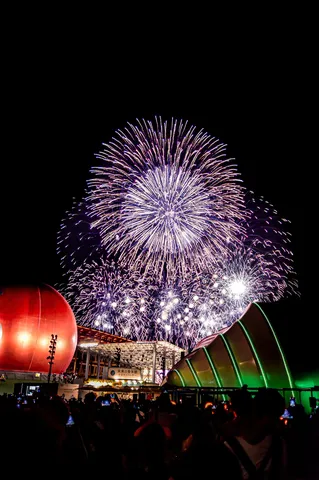 夜空を彩る光の祭典