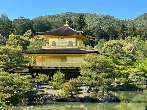 黄金に輝く、静寂の庭園