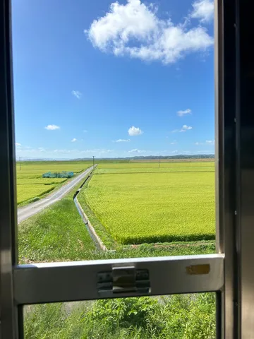 風薫る緑野の小径