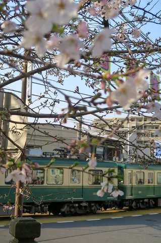 桜舞う街角と電車