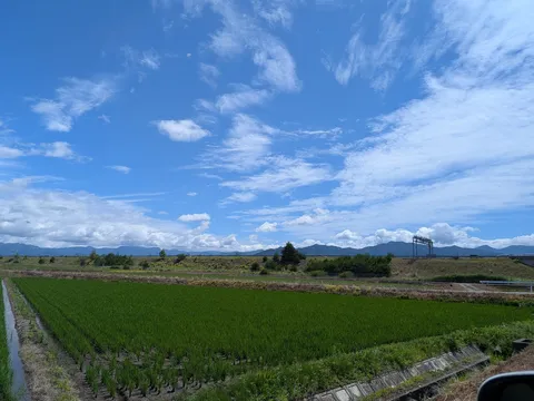 青空広がる、田園の夏景色
