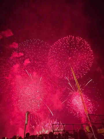 燃え盛る夜空の華！