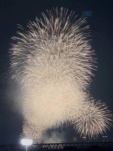 夜空を彩る白銀の華