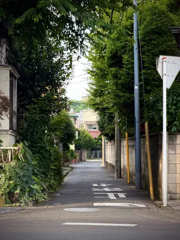 静寂の路地、新緑の息吹