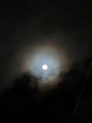 幻想的な月夜の帳