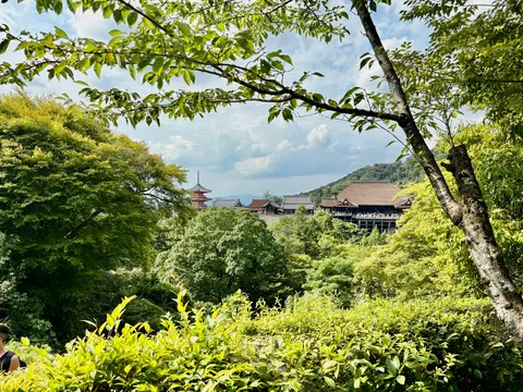 緑に包まれた古都の寺院