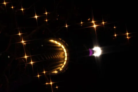 夜空に咲いた無数の星々