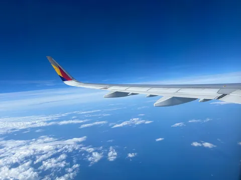 大空と翼、雲海の広がり