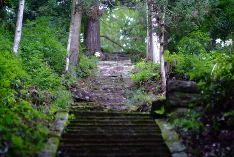 緑深き、苔むす石段の小道