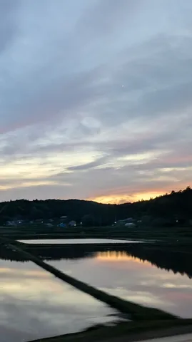 空と水面、シンクロ率高め？