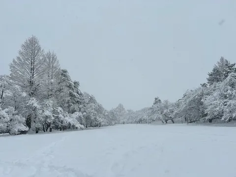 雪景色に佇む、冬の静寂