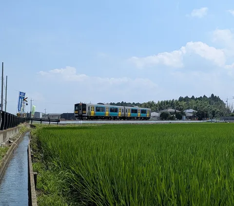 田園を駆け抜ける風の色