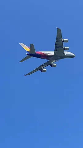 大空を舞う双発機、その姿に心奪われる