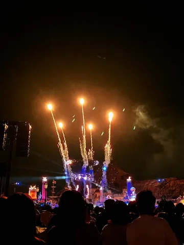 夜空を彩る光のショー