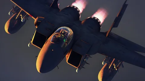 茜空に映える翼