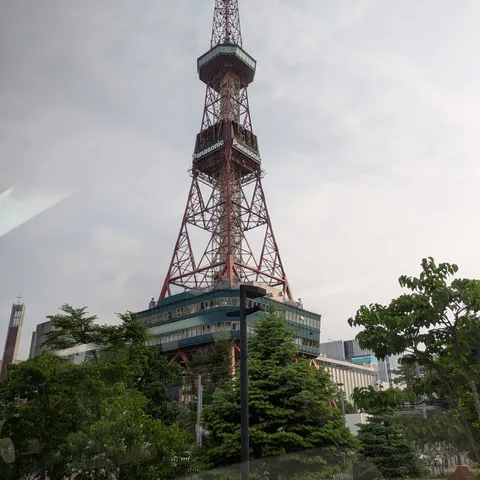 札幌テレビ塔と新緑のコントラスト