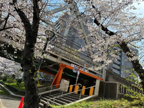 春の訪れ、高架下の静けさ