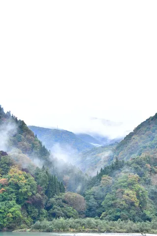 霧深き山の絶景、静寂の渓谷美