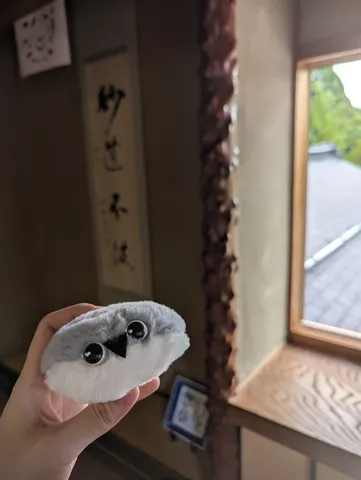 窓辺に浮かぶふわふわの瞳