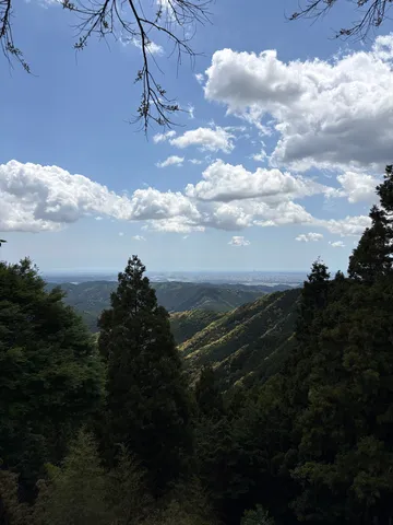 深緑の山並みと空、遠くの街並み