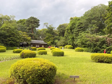 緑に包まれた和の空間