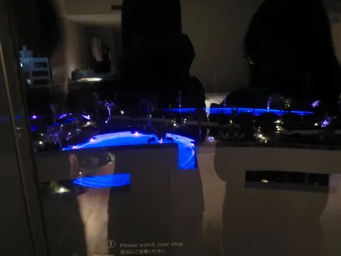 夜のプールサイド、都会のオアシス